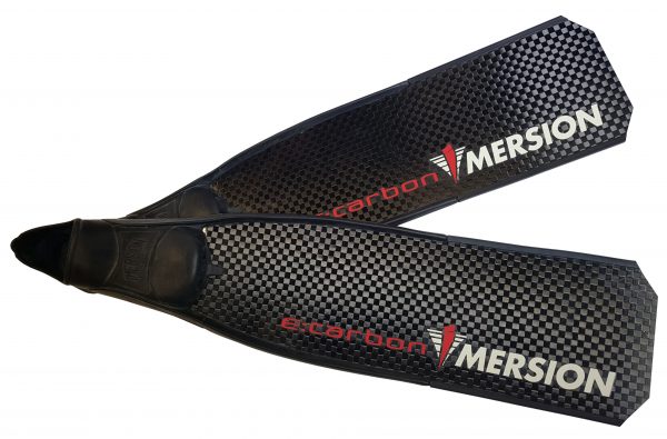 PALMES CARBONE ESSENTIEL 75 cm