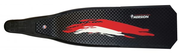 PALMES CARBONE ESSENTIEL 75 cm – Image 3