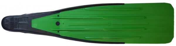 PALMES IMERSION E:GREEN – Image 3