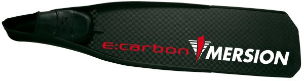 PALMES CARBONE ESSENTIEL 75 cm – Image 2
